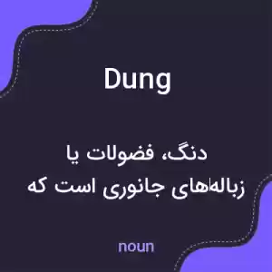 معنی dung به فارسی معنی dung به فارسی