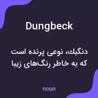 معنی dungbeck به فارسی معنی dungbeck به فارسی