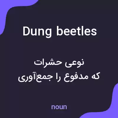 معنی dung beetles به فارسی معنی dung beetles به فارسی