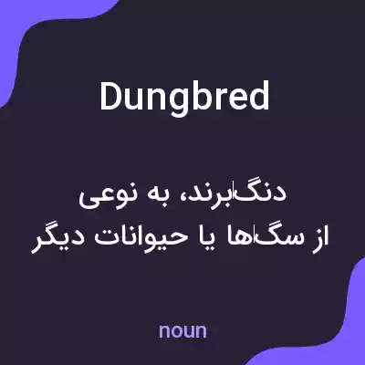 معنی dungbred به فارسی معنی dungbred به فارسی