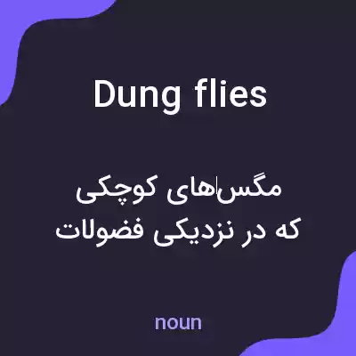 معنی dung flies به فارسی معنی dung flies به فارسی