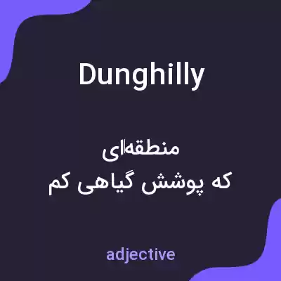 معنی dunghilly به فارسی معنی dunghilly به فارسی