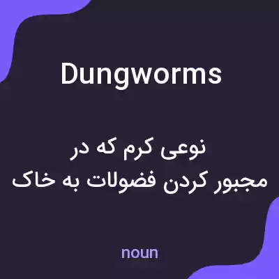 معنی dungworms به فارسی معنی dungworms به فارسی