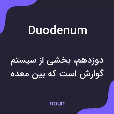 معنی duodenum به فارسی معنی duodenum به فارسی