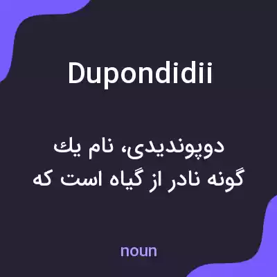 معنی dupondidii به فارسی