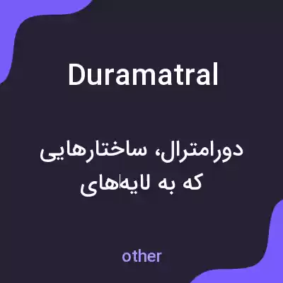 معنی duramatral به فارسی معنی duramatral به فارسی