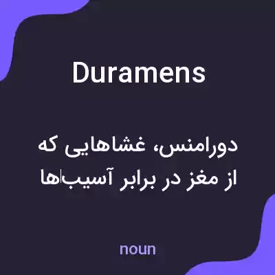 معنی duramens به فارسی معنی duramens به فارسی