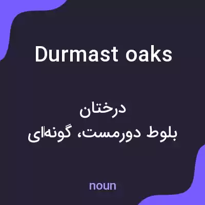 معنی durmast oaks به فارسی معنی durmast oaks به فارسی
