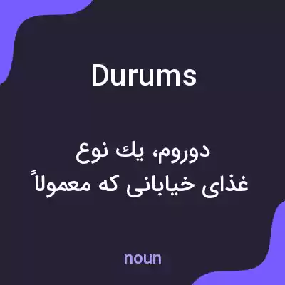 معنی durums به فارسی معنی durums به فارسی