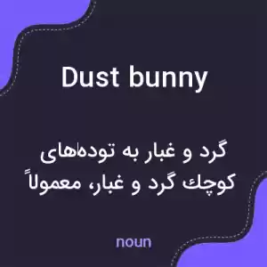 معنی dust bunny به فارسی معنی dust bunny به فارسی