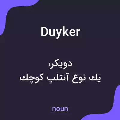 معنی duyker به فارسی معنی duyker به فارسی
