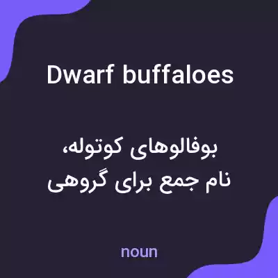 معنی dwarf buffaloes به فارسی معنی dwarf buffaloes به فارسی