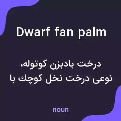 معنی dwarf fan palm به فارسی معنی dwarf fan palm به فارسی