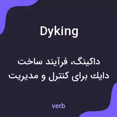 معنی dyking به فارسی