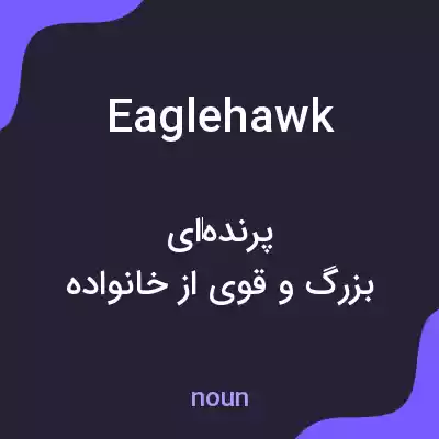 معنی eaglehawk به فارسی معنی eaglehawk به فارسی