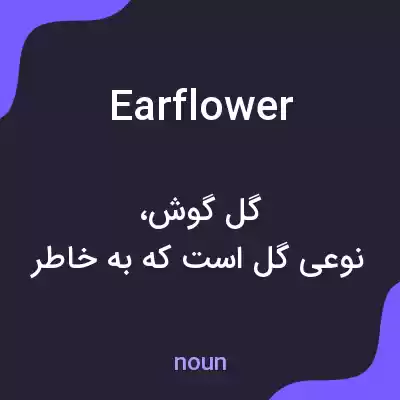 معنی earflower به فارسی معنی earflower به فارسی