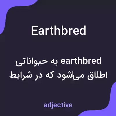 معنی earthbred به فارسی معنی earthbred به فارسی