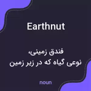 معنی earthnut به فارسی معنی earthnut به فارسی