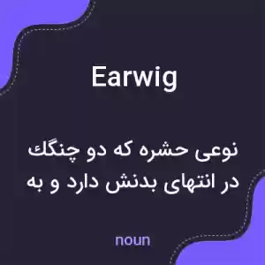 معنی earwig به فارسی معنی earwig به فارسی