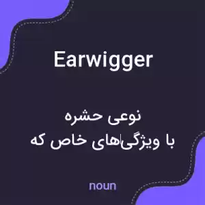 معنی earwigger به فارسی معنی earwigger به فارسی