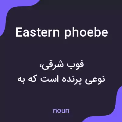 معنی eastern phoebe به فارسی معنی eastern phoebe به فارسی