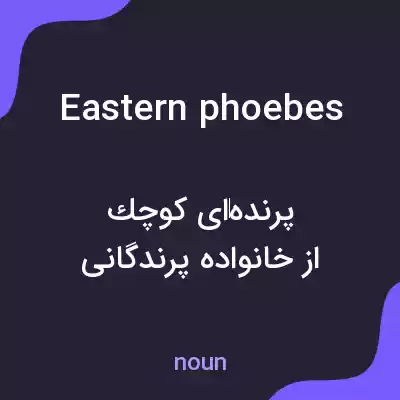 معنی eastern phoebes به فارسی معنی eastern phoebes به فارسی