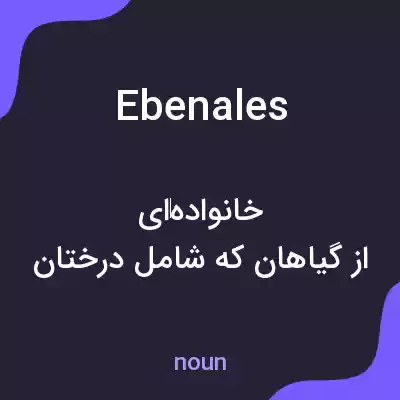 معنی ebenales به فارسی معنی ebenales به فارسی
