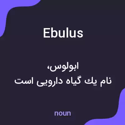 معنی ebulus به فارسی معنی ebulus به فارسی