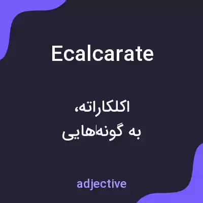 معنی ecalcarate به فارسی معنی ecalcarate به فارسی