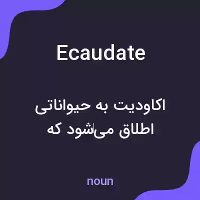 معنی ecaudate به فارسی معنی ecaudate به فارسی