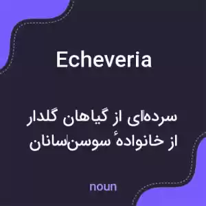 معنی echeveria به فارسی