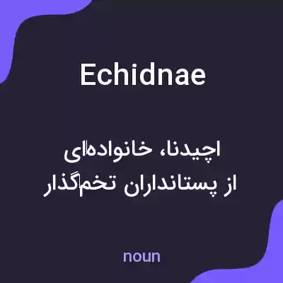 معنی echidnae به فارسی معنی echidnae به فارسی