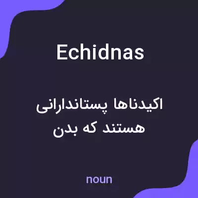 معنی echidnas به فارسی معنی echidnas به فارسی