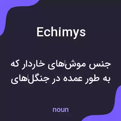 معنی echimys به فارسی معنی echimys به فارسی