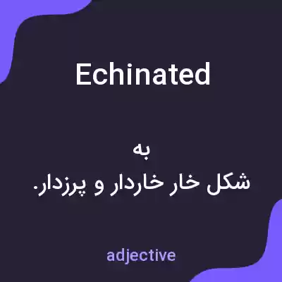 معنی echinated به فارسی معنی echinated به فارسی