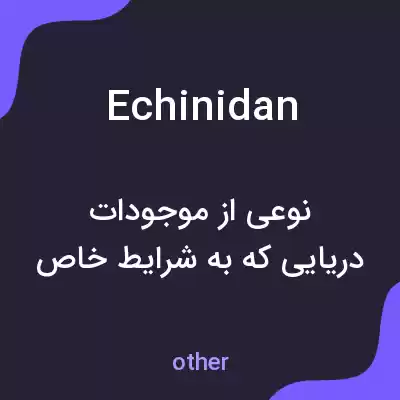 معنی echinidan به فارسی معنی echinidan به فارسی