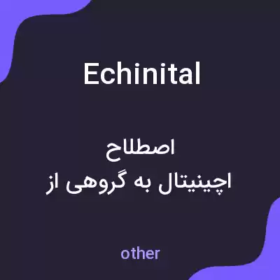 معنی echinital به فارسی معنی echinital به فارسی