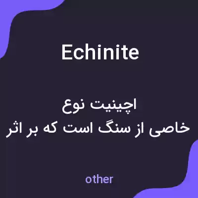 معنی echinite به فارسی معنی echinite به فارسی