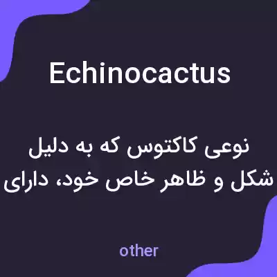 معنی echinocactus به فارسی معنی echinocactus به فارسی