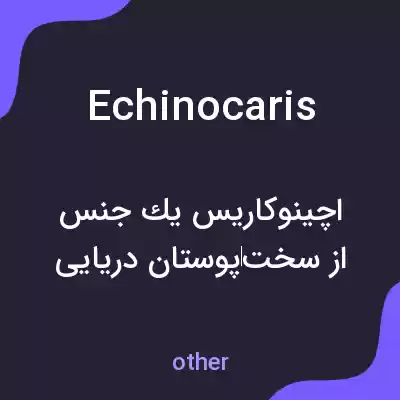 معنی echinocaris به فارسی معنی echinocaris به فارسی