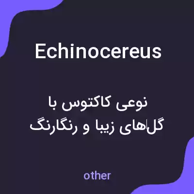 معنی echinocereus به فارسی معنی echinocereus به فارسی