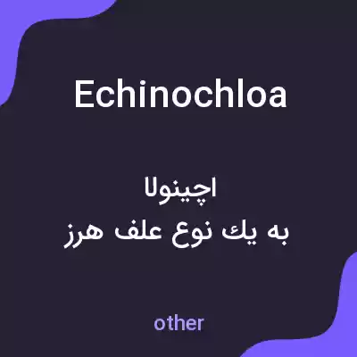 معنی echinochloa به فارسی معنی echinochloa به فارسی