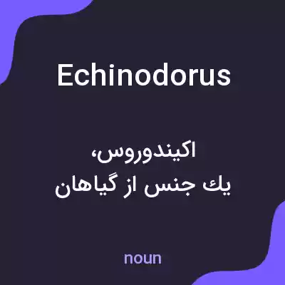 معنی echinodorus به فارسی معنی echinodorus به فارسی
