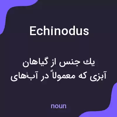 معنی echinodus به فارسی معنی echinodus به فارسی