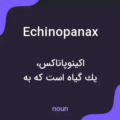 معنی echinopanax به فارسی معنی echinopanax به فارسی