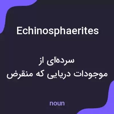 معنی echinosphaerites به فارسی معنی echinosphaerites به فارسی