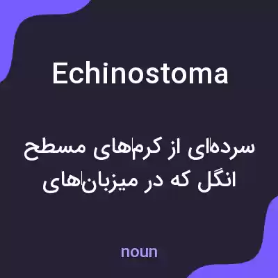 معنی echinostoma به فارسی معنی echinostoma به فارسی