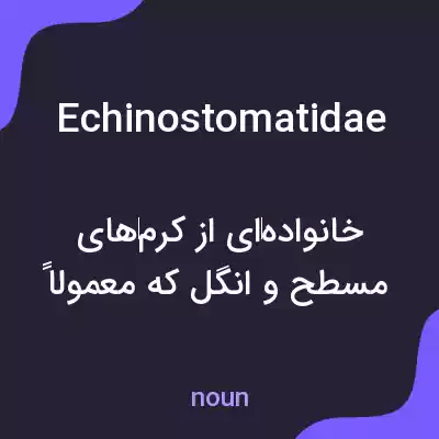معنی echinostomatidae به فارسی معنی echinostomatidae به فارسی