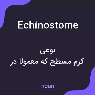 معنی echinostome به فارسی معنی echinostome به فارسی