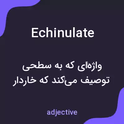 معنی echinulate به فارسی معنی echinulate به فارسی